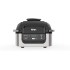 Ninja AG300C Foodi 4-in-1 Indoor Grill With 4-Quart (3.8L) Air Fryer, Roast, Bake, and Cyclonic Grilling Technology (Canadian Version)