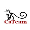 CaTeam