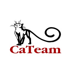 CaTeam