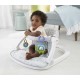 Fisher-Price Portable Baby Chair Sit-Me-Up Floor Seat with Developmental Toys & Machine Washable Seat Pad, Honeydew Drop (GGD48)